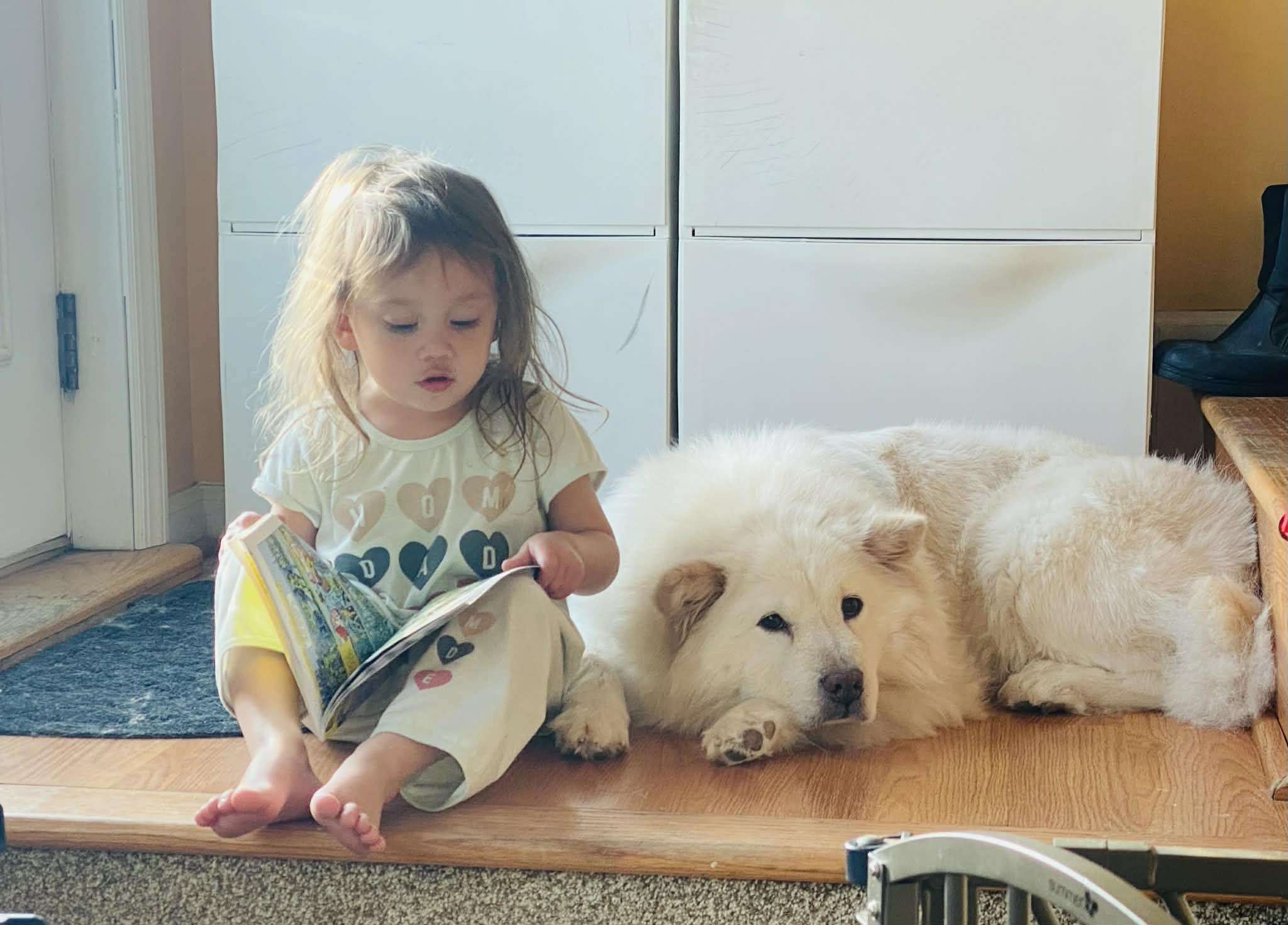 Bee reading with Pupster